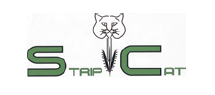 Strip Cat