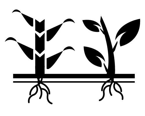 Strip Tilling icon