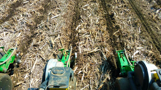 StripTill field